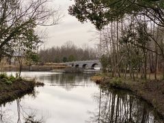 -溱湖国家湿地公园