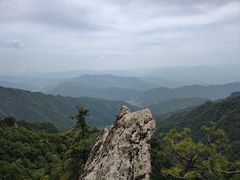 -王顺山国家森林公园