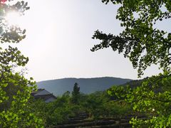 -旺山景区