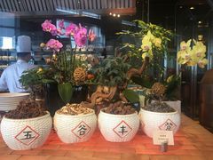 -广州富力君悦大酒店·凯菲厅