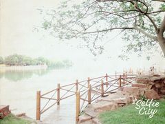 picture-同里湖度假村(二期店)