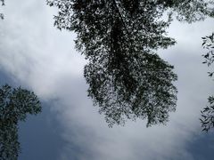 -会稽山峡洞漂流-上青古道