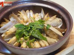 -陈鹏鹏潮汕菜(宝安机场T3航站楼店)