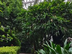 -西安世博园