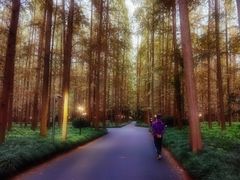 -上海怡沁园度假酒店