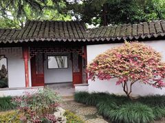 -秋霞圃