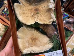 -伊藤洋华堂(高新店)