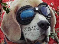 -马房湾66号·江湖菜