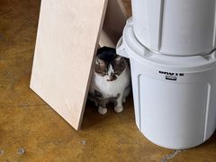 -琥珀川咖啡馆·Amber cafe(百祥路店)