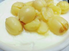 -义顺牛奶公司(新马路老店)