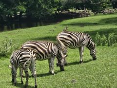 -卡塞拉自然公园