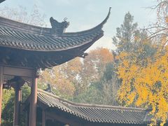 -钱王祠