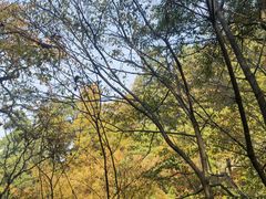 -终南山南五台景区