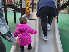 -苏州河梦清园环保主题公园