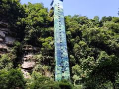 -碧峰峡风景区
