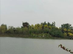 景点-东郊湿地公园