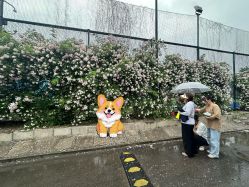 -SOFT GRAPHY柔软纪儿童摄影