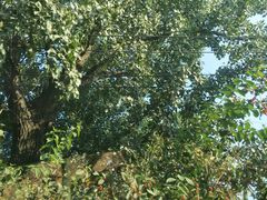 -北京市二清机动车检测场有限公司