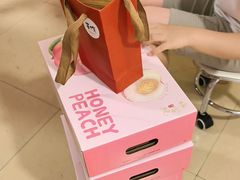 -老袁家蜜桃农场·阳山水蜜桃