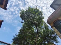 -上海市皮肤病医院(武夷路院区)