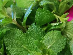 -老牌坊•鲁菜名店•地道济南菜(大观园商埠店)