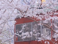 -新天地活力PARK