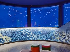 -沈阳海洋探索中心