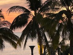 -日落吧·海景咖啡厅·餐酒吧·鸡尾酒·下午茶·乐队表演·浪漫夕阳·三亚文华东方酒店
