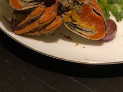 -甄御•海鲜新青岛菜(麦岛店)