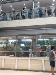 -北京市朝阳区妇幼保健院(南院区)