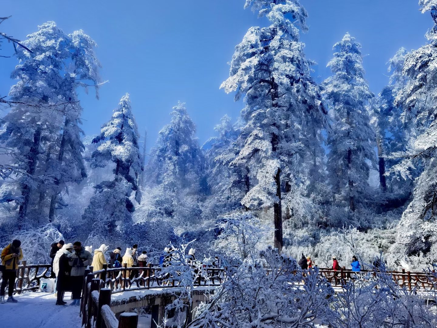 四川玩雪旅游景点图片