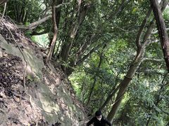 -达蓬山旅游度假区