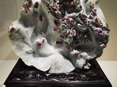 -安徽省地质博物馆