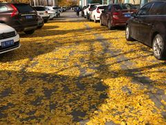 -南宫温泉水世界