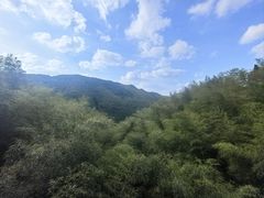-杨氏青龙虾·羊蝎子(珠江路店)