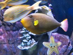 -成都浩海立方海洋公园