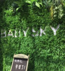 点击看大图 -宝贝天空儿童摄影(花溪店)