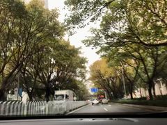 -云溪植物园