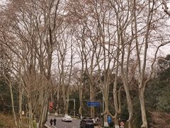 明孝陵五号门-明孝陵