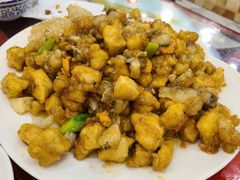 鸿运八珍豆腐-桃子餐厅·天津菜(红星路直营店)