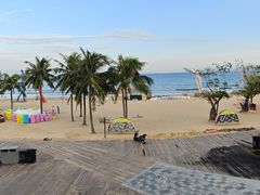 -五谷芳乳鸽王(海景店)