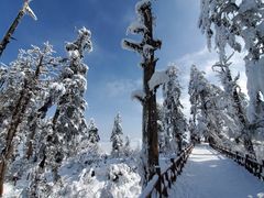 -瓦屋山景区