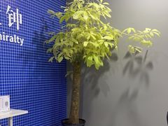 -和胜麻雀·棋牌室