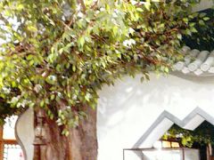 -北京全聚德(西客站店)