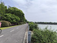 -贡湖湾湿地公园
