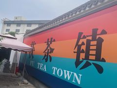 -茯茶镇