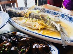 清蒸白水鱼-洞天食府(北大街店)