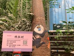 -呀路古热带植物园