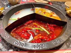 奔驰锅底-蜀大侠火锅(森兰花园城店)