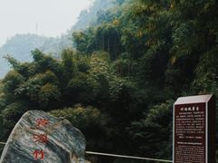 -芦沟竹海